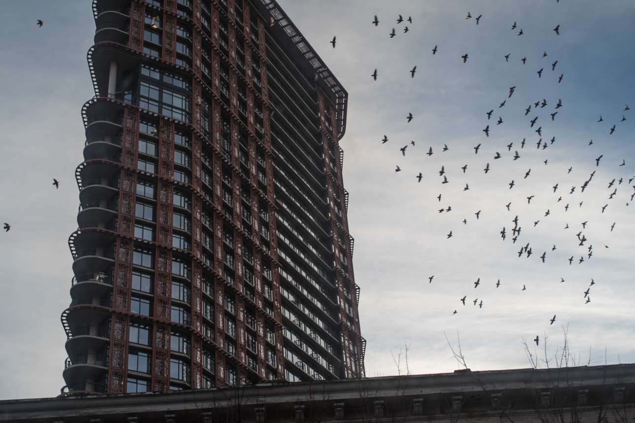 Οι ουρανοξύστες οδηγούν σε τραγικό θάνατο 100 εκατ. πτηνά ετησίως!