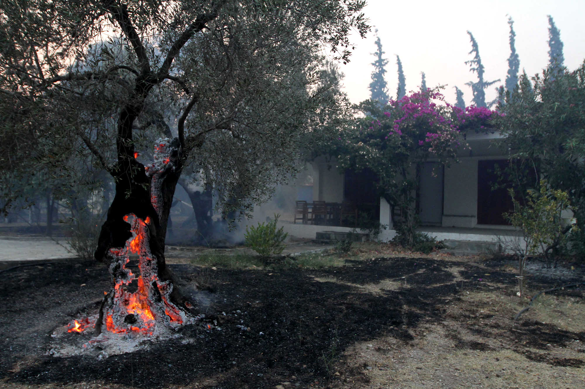 Πυρκαγιά σε Εύβοια: άμεση ανάγκη αποζημιώσεων σε επαγγελματίες Εστίασης