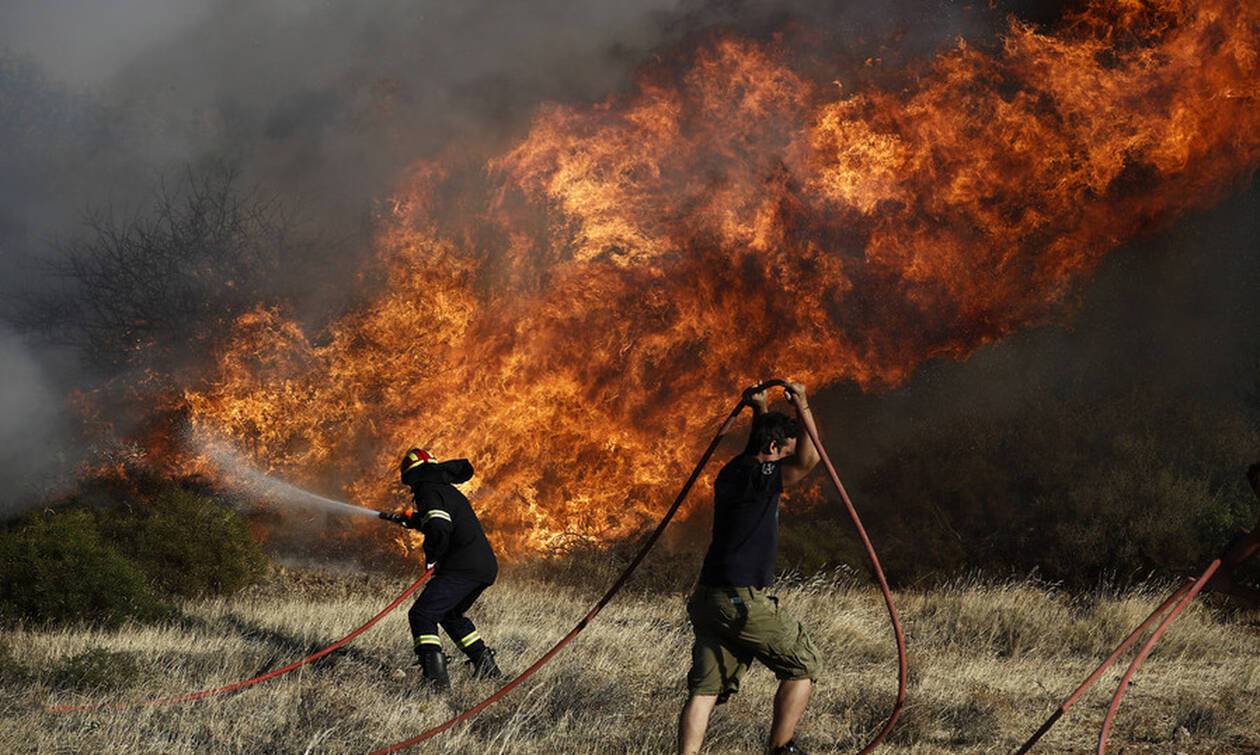 Πυρκαγιά σε Εύβοια: τεράστια οικολογική καταστροφή - Όλα δείχνουν εμπρησμό