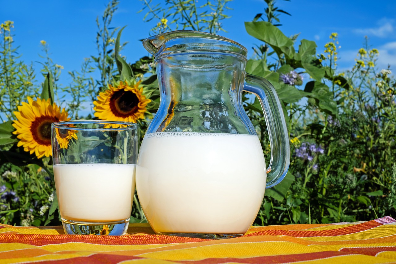 Γαλακτοκομικά προϊόντα από Ελληνικό γάλα - Νέες διευκρινίσεις ΕΦΕΤ